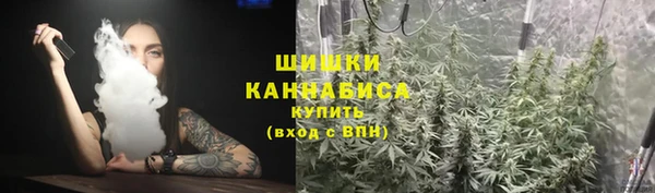 ГАЛЛЮЦИНОГЕННЫЕ ГРИБЫ Пересвет