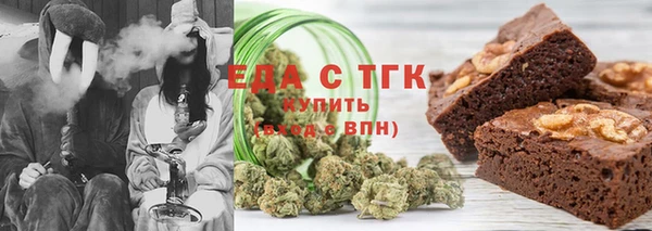 хмурый Алексин
