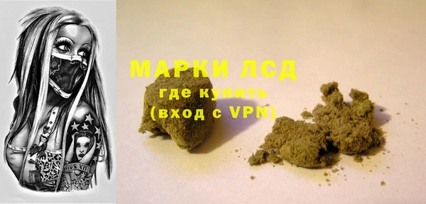 хмурый Алексин