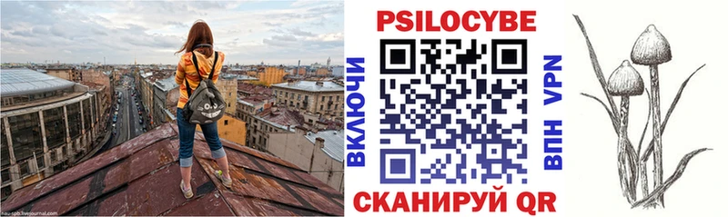 Галлюциногенные грибы мицелий  Жердевка 