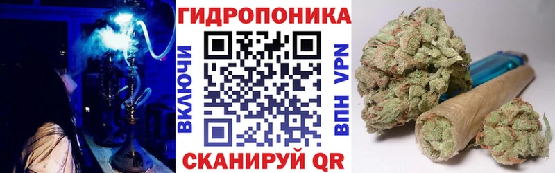 Бошки Шишки VHQ  где найти   Жердевка 